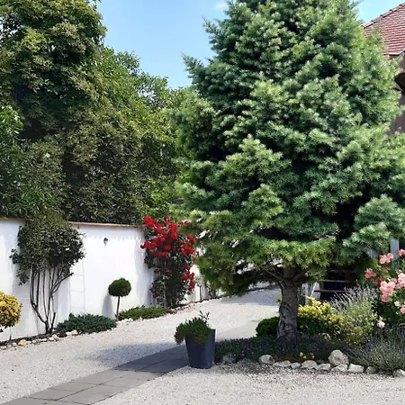 Art Galeria Lägenhet